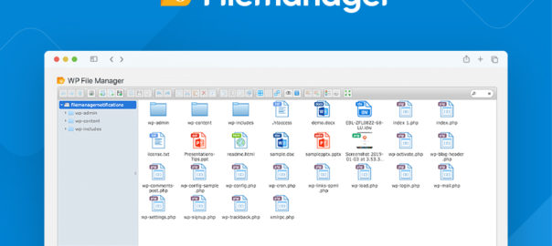 why use file manager